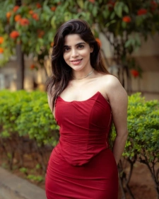Rishikesh Escort Services